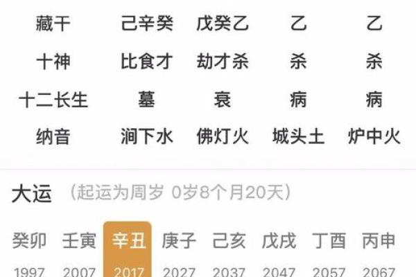 探秘癸卯金箔金命与最吉命配的完美结合 探秘癸卯金箔金命与最吉命配的完美结合