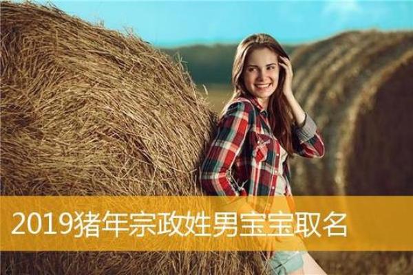 2019年命运解读:如何为新生儿取名带来好运与希望 2019年命运解读:如何为新生儿取名带来好运与希望