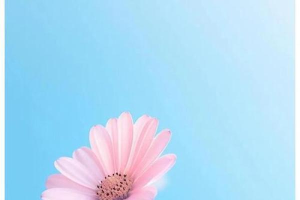 20050317命理解读:命中注定的你与未来的方向 20050317命理解读:命中注定的你与未来的方向