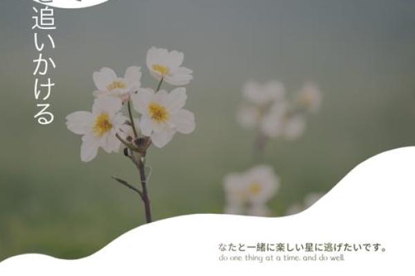 天生我命不公主，如何在平凡中绽放光彩