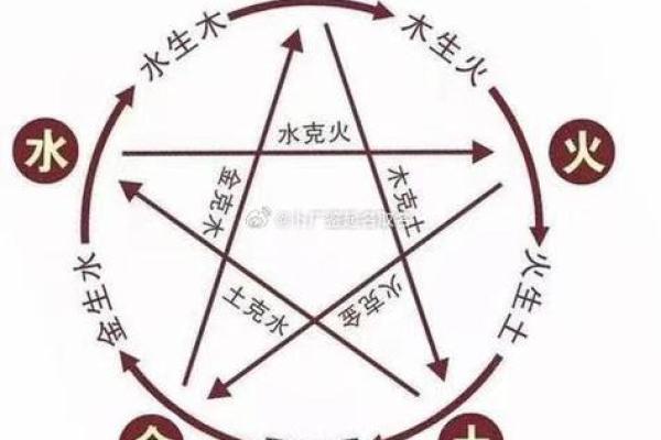 2010年属猪的人命理分析：八字与性格的深度解密