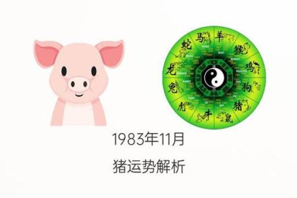 1983年出生的人究竟属什么命?揭秘命理背后的秘密! 1983年出生的人究竟属什么命?揭秘命理背后的秘密!