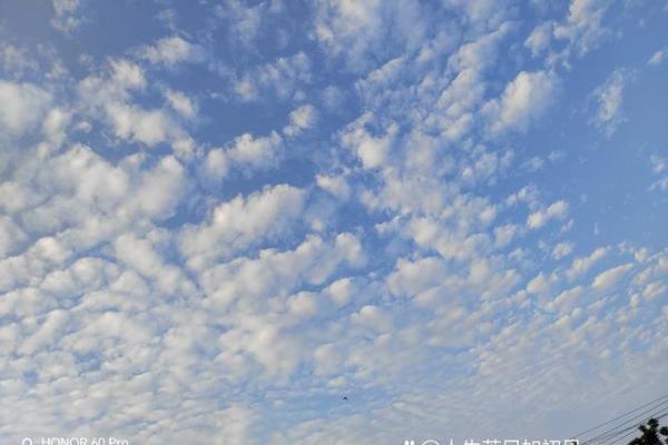 19980422：探秘这个出生日期的命运与人生之路