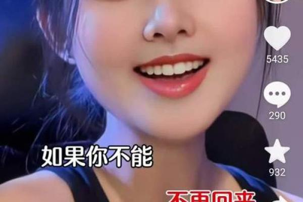 1946年出生的狗：一个灵动的生命之旅与命运解析