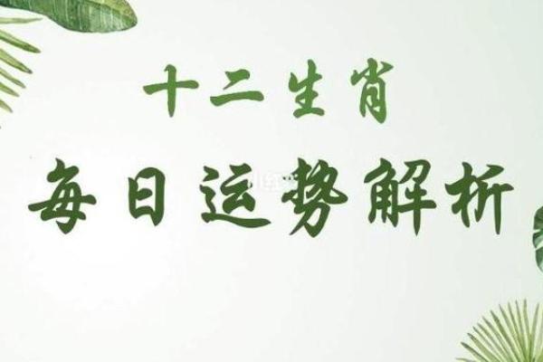 2018年正月出生的宝宝命运解析与养育建议 2018年正月出生的宝宝命运解析与养育建议