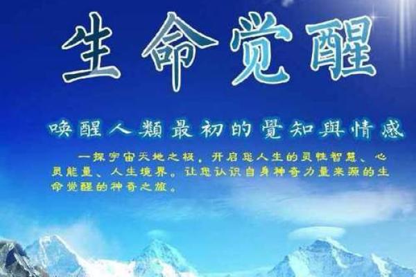 1946年出生的狗：一个灵动的生命之旅与命运解析