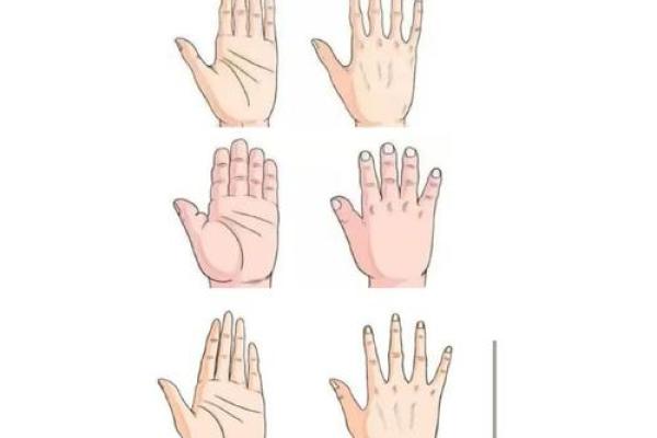 木命与火命：生肖配对的神秘与和谐之道