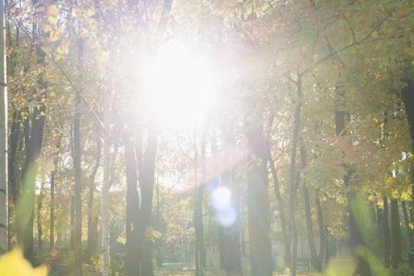 女命缺火旺盛,命理解析与调和之道 女命缺火旺盛,命理解析与调和之道