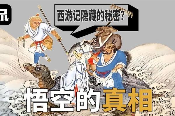 2019与2020的命运轨迹：揭示隐藏在生活中的秘密与机遇