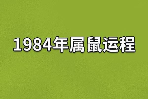 1996鼠年命理解析：提升运势的秘诀与建议