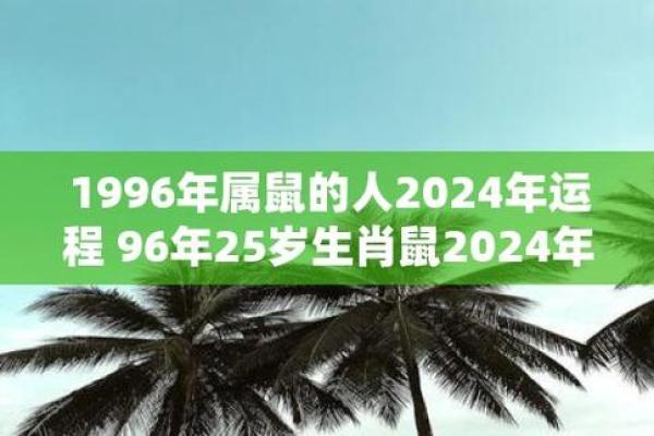 1996鼠年命理解析：提升运势的秘诀与建议