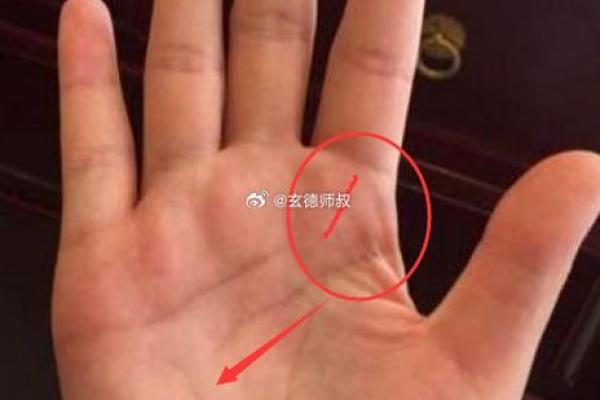 算命中最好的命究竟是什么命？揭秘你的命中财富与幸福