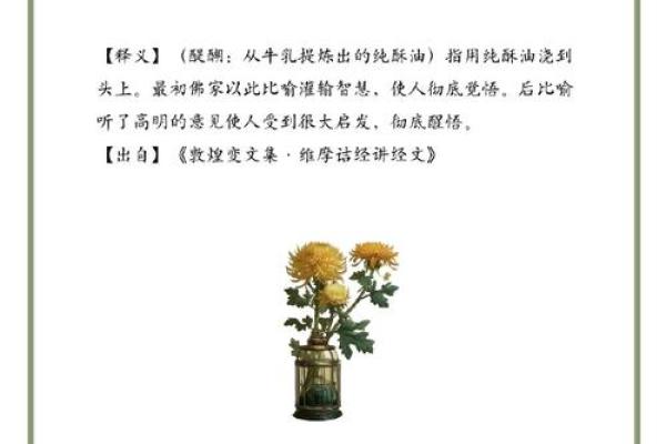 收获万千，成语背后的智慧与启示