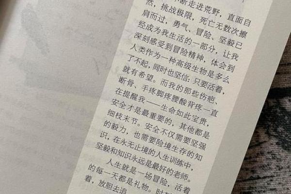 1942年属马人命运解析：勇敢与智慧交织的精彩人生