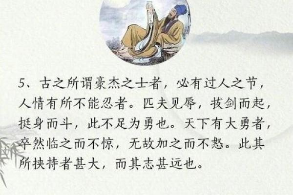 收获万千，成语背后的智慧与启示