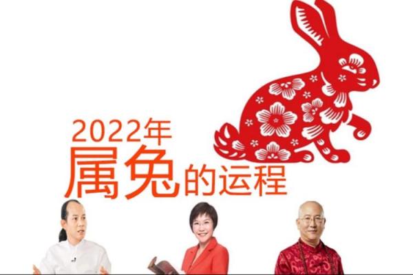 2014年属兔人的命理解析:揭示兔年的机遇与挑战! 2014年属兔人的命理解析:揭示兔年的机遇与挑战!