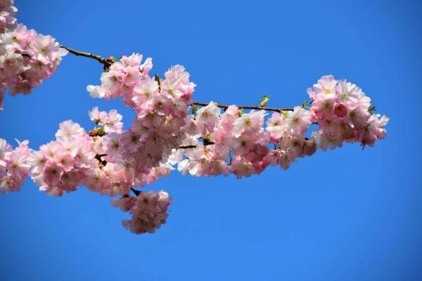 探究1990614命格:命运的启示与人生的选择 探究1990614命格:命运的启示与人生的选择