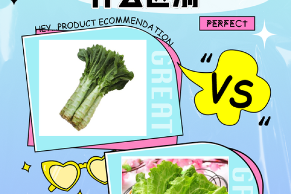 探寻命理命盘的奥秘:信与不信之间的智慧之路 探寻命理命盘的奥秘:信与不信之间的智慧之路