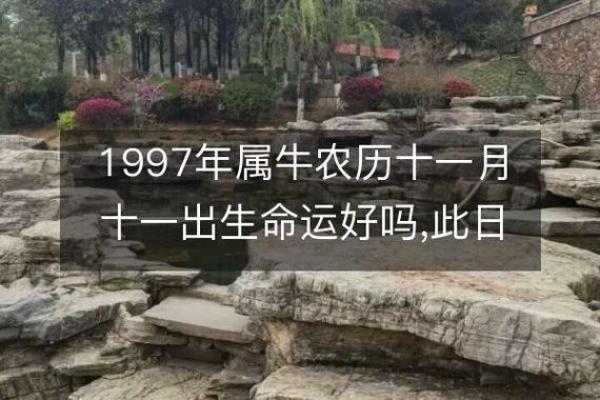 1997年出生的你,命运和性格的深层解读与分析 1997年出生的你,命运和性格的深层解读与分析