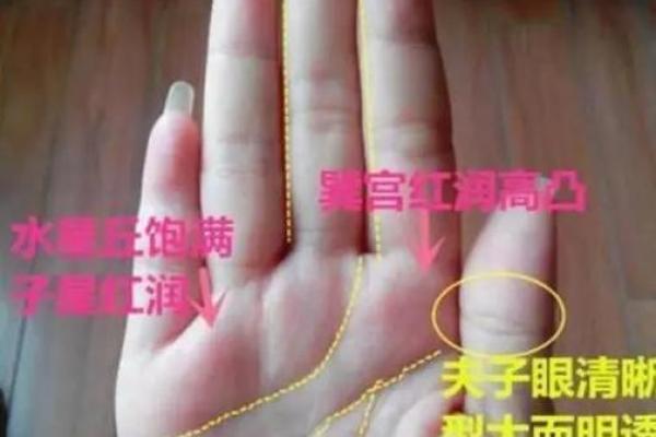 算过命不是富贵命,人生还有哪些出路? 算过命不是富贵命,人生还有哪些出路?