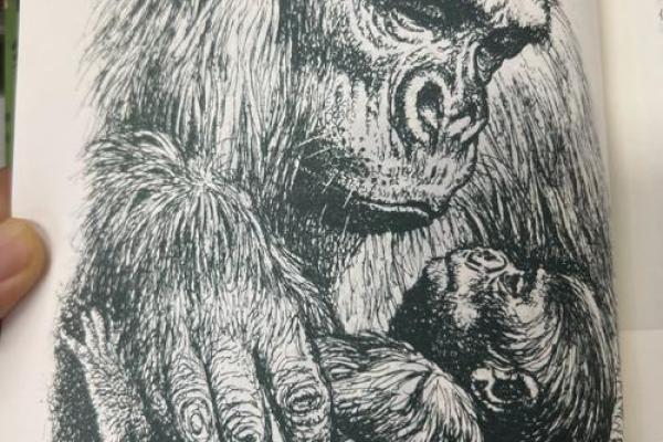 土命生肖揭秘:你的命里藏着哪个动物的秘密? 土命生肖揭秘:你的命里藏着哪个动物的秘密?