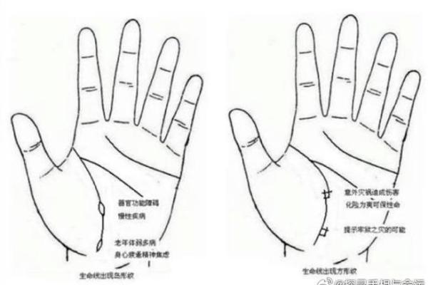 命理学的奥秘:探索生命的深层次与宇宙的交融 命理学的奥秘:探索生命的深层次与宇宙的交融