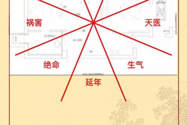 1997年出生的人是哪种宅命?揭秘宅命与个性间的秘密! 1997年出生的人是哪种宅命?揭秘宅命与个性间的秘密!