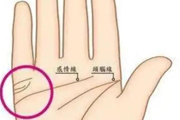 从手相看指头长短揭秘你的命运与个性 从手相看指头长短揭秘你的命运与个性