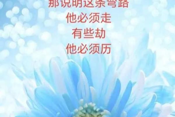 不是富命是贵命:探寻人生的真正价值和意义 不是富命是贵命:探寻人生的真正价值和意义