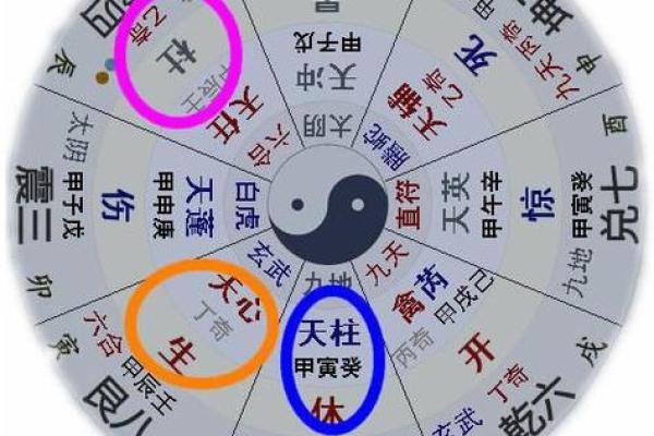 鼻子下发白的命理解析:命运与运势的微妙联系 鼻子下发白的命理解析:命运与运势的微妙联系