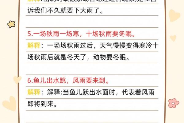 探寻九月二十三，蛇的命运与奥秘