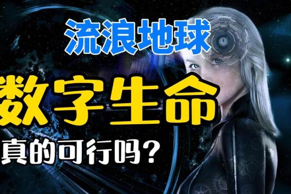 1998721的命理解析：如何理解生命数字的背后含义