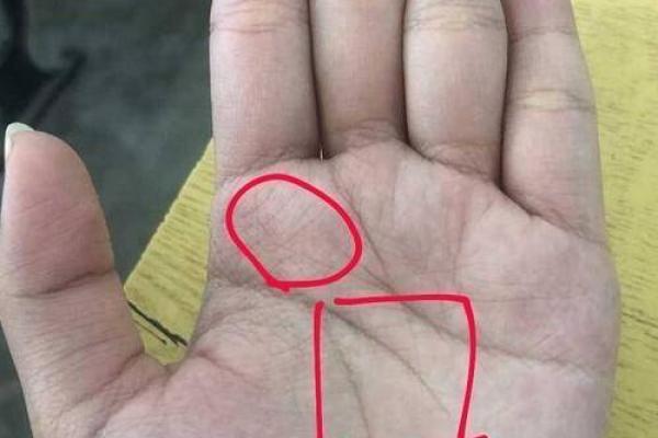土命与什么命最合财运？探寻财运提升的秘密