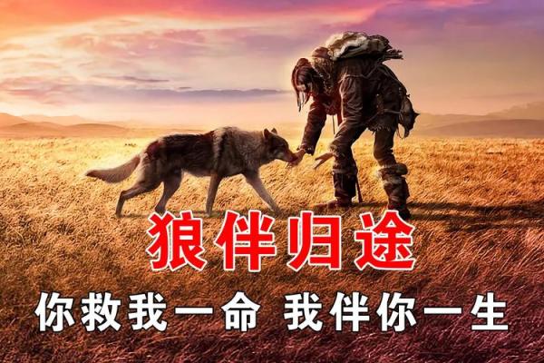 揭开94与95命格的神秘面纱，探索命运与人生的奇妙联系