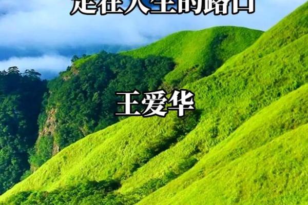 2010年出生的孩子，他们的命运和人生轨迹到底如何？一探究竟！