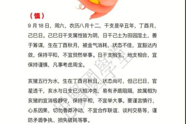 47年的生肖与命理解析：揭示属猪人的人生密码