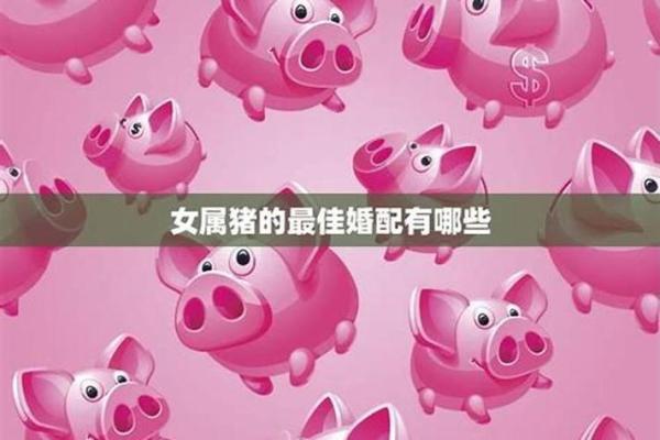 2019年属猪运势详解：探秘猪年命运与人生之路