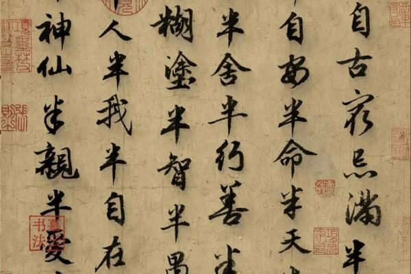 二十三岁命格解析：探寻人生的方向与机遇