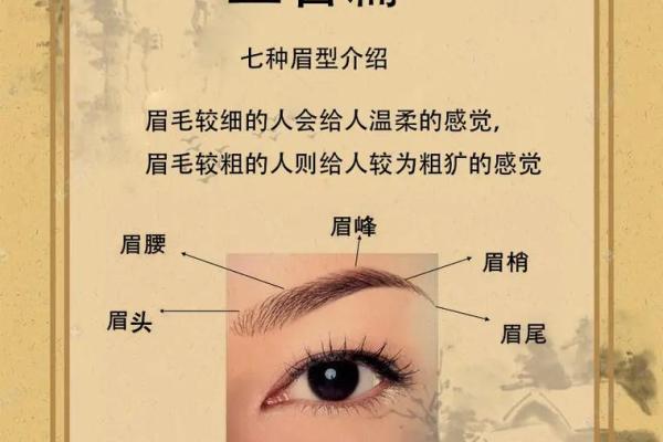 男人眉毛多的命运与性格解析：你了解吗？
