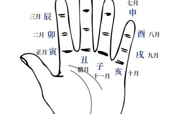 根据农历生肖解析，如何选择适合你的生活与事业路径？