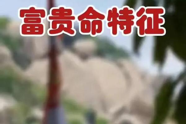 探索命主命强：揭示个人命运的奥秘与力量
