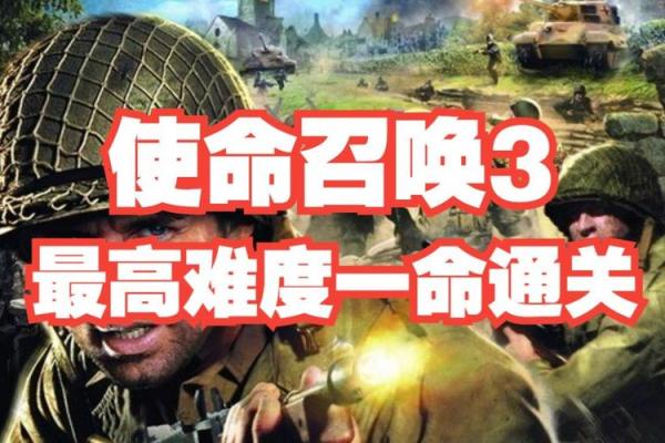 一命抵三命：生活中的价值与意义探讨