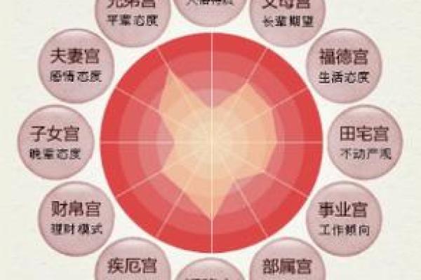 解密玉兔之命:透视命格与人生的巧妙联系 解密玉兔之命:透视命格与人生的巧妙联系