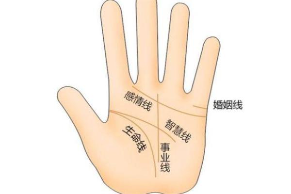 木命女性与哪种命男性最合拍？探讨命理中的最佳配对！