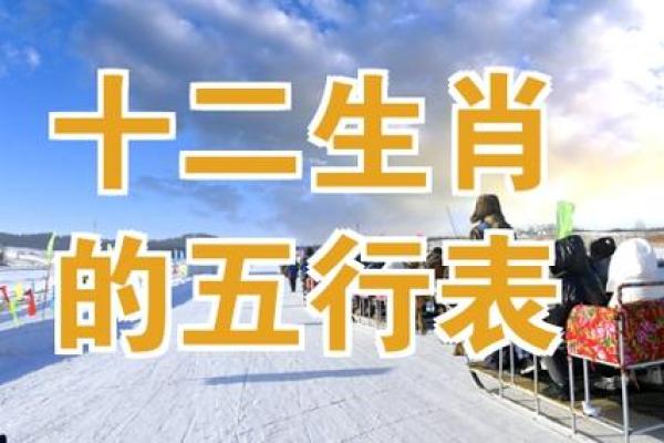 2012年是什么木命：揭秘十二生肖与五行的奇妙关联