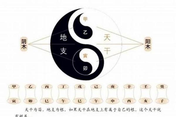 1994年属狗火命：五行之灵，人生的机遇与挑战