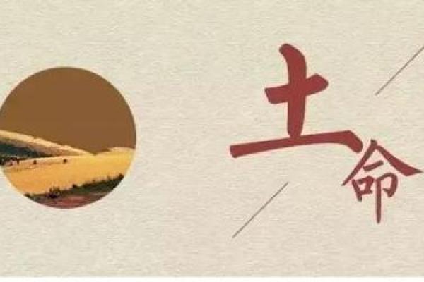 猴土命五行解析：解密出生于猴年的人生福荫与特质