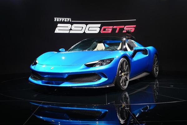 1990年出生的马儿：命运与个性的精彩交响曲