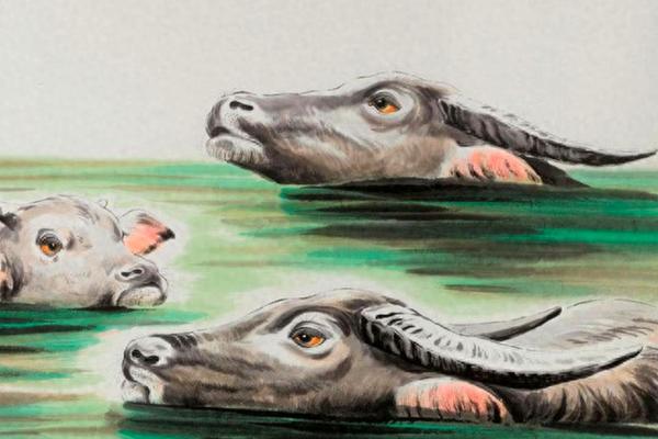 1996年属狗的命运与性格解析：探索他们的独特人生轨迹