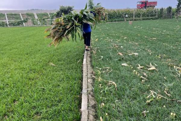 19960807出生的人生轨迹与命运解析